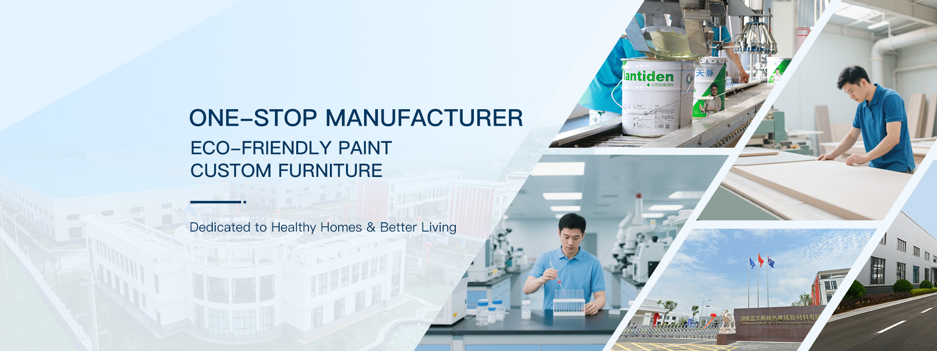 Quality Interior Wall Paint factory