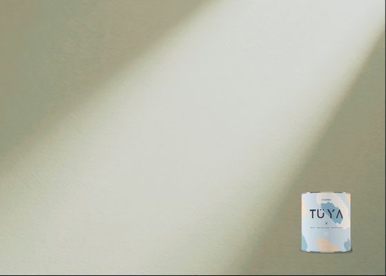 Buy LNSA004 Let's Paint Interior Wall Paint Small Package Purify Formaldehyde online manufacture