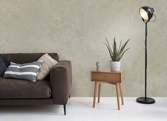 Buy Tropical Climate Proof Starry sky Glitter Texture Wall Paint Antibacterial online manufacture