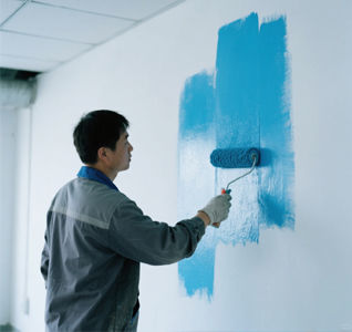 Interior Wall Paint Washable  Scrubbable Matt Coating  Zero Odor  Ideal for Hallways and Kids' Rooms