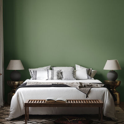 5kg Interior Wall Paint As Before Ultra Self Clean Moisture Proof Mildew Proof Grade 0 